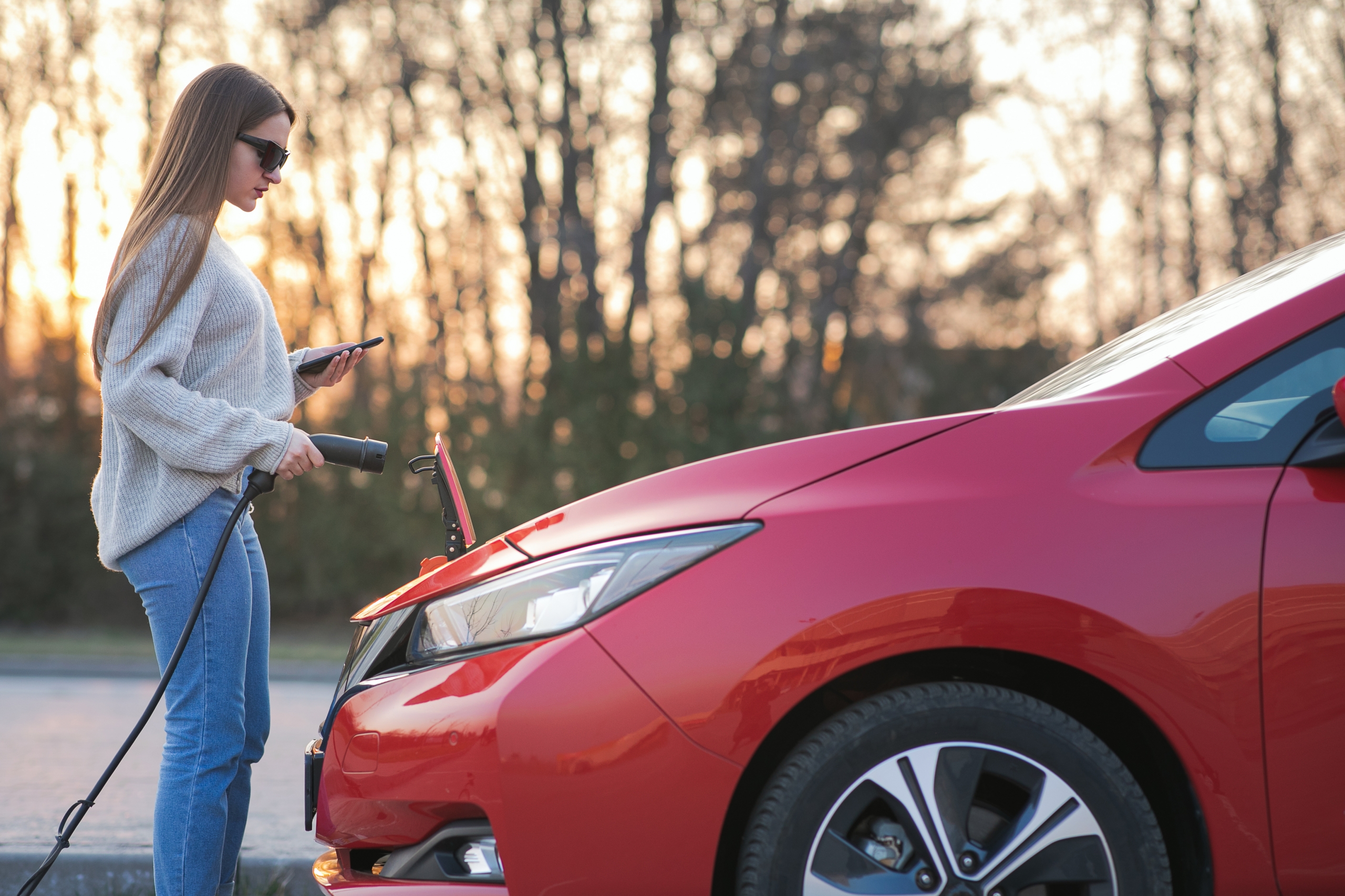 Electric Vehicle Charger